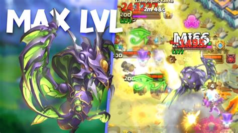 MAXED CELESTICA .